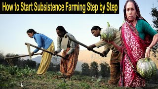 Subsistence Farming Step by Step  How to Start Subsistence Agriculture Very Easily  Mixed Farming [upl. by Ignacia]