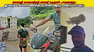 പ്രാവിനെ സ്വന്തം മക്കളെപ്പോലെ നോക്കുന്ന റഹ്‌മാൻ  🕊️Pigeon  Malayalam Vlog [upl. by Condon406]