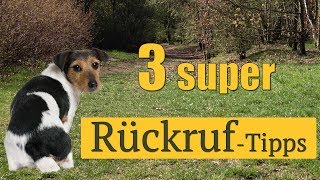 Hund kommt nicht Hier 3 super Tipps damit dein Rückruf funktioniert [upl. by Anibas]