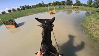 GoPro Tullymurry Fifi Intermediate Championship  2024 American Eventing Championships [upl. by Odey]