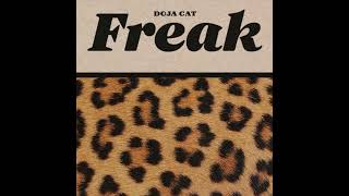 FREAK  DOJA CAT EXTENDED EXPLICIT [upl. by Namien]