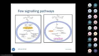 Network Pharmacological Techniques Next Generation Medicine Research Mode [upl. by Adrienne]