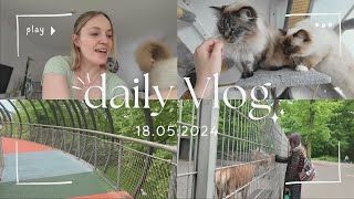 VLOG 18 05 2024  Katzensitting  Kaisergarten Oberhausen [upl. by Adilen18]