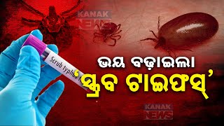 ଭୟ ବଢ଼ାଇଲା ‘ସ୍କ୍ରବ ଟାଇଫସ୍’  Scrub Typhus Outbreak In Bargarh Rising Deaths And Growing Concern [upl. by Mccutcheon]