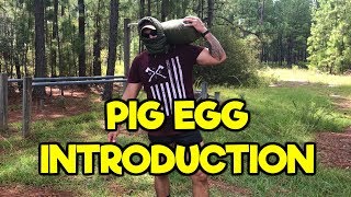 RECON TRAINING PIG EGG INTRODUCTION [upl. by Neomah]