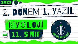 11 Sınıf Biyoloji 2 Dönem 1 Yazılı  Biyoloji Yazılıya Hazırlık [upl. by Arundell53]