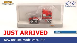 Brekina 187 Just arrived  exklusive for Model Car World  Kenworth K 100 Aerodyne [upl. by Erised]