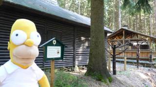 Die Simpsons auf Exkursion im Wald [upl. by Hellene]