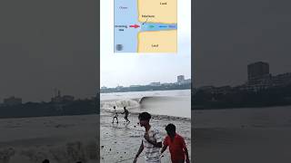 WHAT is a Tidal Bore tidalbore waves ganga gangariver safetyfirstlife trendingshorts shorts [upl. by Legyn]