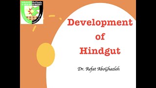 Development of Hindgut [upl. by Silvia]