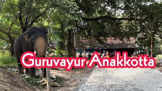 Guruvayur AnakottaPunnathurkottaKeralatriptravelvlog [upl. by Aneekan161]