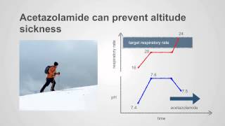 Acetazolamide amp PotassiumSparing Diuretics Uses amp Insights [upl. by Rentschler423]