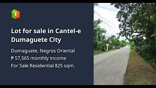 Lot for sale in Cantele Dumaguete City [upl. by Norrehs]