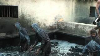 Indigo Dye Extraction [upl. by Rebmac]