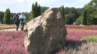 Höpen und Heidegarten Schneverdingen [upl. by Stefa]