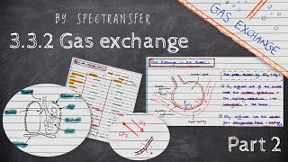 EASY REVISION AQA ALevel Biology 332 Gas Exchange  Part 22 [upl. by Naivart]