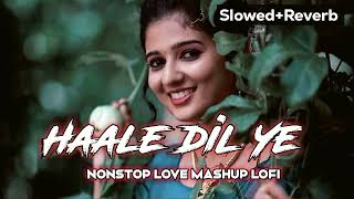 Haale dil ye New song 2024  SlowedReverb New Hindi Song [upl. by Ellerrad]