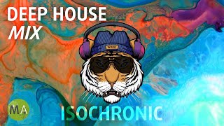 Peak Focus For Complex Tasks  Deep House Tiger Mix  Isochronic Tones [upl. by Ivett]