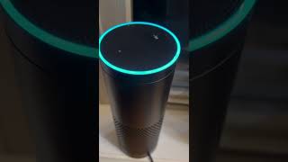 Asking Aunt Joannes Amazon echo asking Alexa tell me a joke￼ [upl. by Azilef]