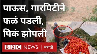 Maharashtra Unseasonal Rains News गारपीट वादळामुळे शेतकऱ्यांच्या Rabi Crop चं नुकसान BBC Weather [upl. by Nehemiah722]