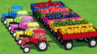 TRANSPORTING URSUS Mini TRACTORS amp FRUITs with FLATBED TRAILER amp MAN TRUCKS FS22 [upl. by Teodoor]