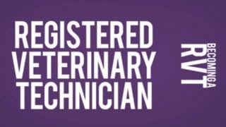 How to Become a Registered Veterinary Technician RVT [upl. by Langham568]