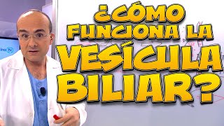 VESÍCULA BILIAR ¿cómo funciona  Cuerpo Humano 08 [upl. by Nayt]