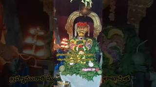 Machilipatnamkalekhanpetashivalayamlakshabilvarchananakshatraharathikarthikamasamdevotional [upl. by Kidd]