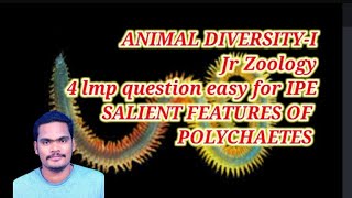 Salient features of Polychaetes Invertebrate phylaAnnelida [upl. by Leidag]