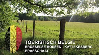 België  Brusselse Bossen  Kattekesberg  Brasschaat [upl. by Tuneberg]