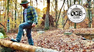 Building a Hardwood Log Cabin  Slow and Steady Progress  Ep 3 [upl. by Illoh837]