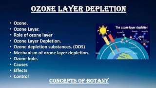 Ozone Layer Ozone Layer Depletion Causes Effects Solution Hindi Urdu Concepts of Botany [upl. by Ebert434]