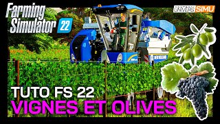 TUTO FARMING SIMULATOR 22  Comment cultiver VIGNES raisins et OLIVES [upl. by Naesed]