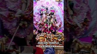 ISKCON TEMPLE VRINDAVAN shorts viral bhajan [upl. by Nwahsat]