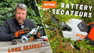 We put the NEW STIHL ASA 20 Cordless Secateurs to the TEST [upl. by Bonnie718]