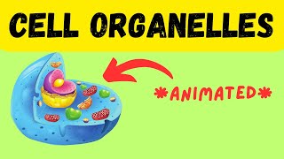 Cell Biology Cell Organelles explained in 3 Minutes Animated Version [upl. by Akihsan]