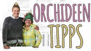 ORCHIDEEN TIPPS  RICHTIG UMTOPFEN UND PFLEGEN  DIY [upl. by Annoek423]