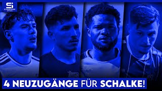 Kein Stürmer im Kader Diese Spieler muss Schalke als Ersatz für Topp amp Terodde holen  S04 Analyse [upl. by Ferrigno489]