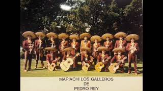 Mariachi Los Galleros de Pedro Rey  Alma Llanera [upl. by Eimam]