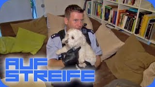 Plötzlich neues Familienmitglied Wem gehört der neue Hund  Auf Streife  SAT1 TV [upl. by Lleder]