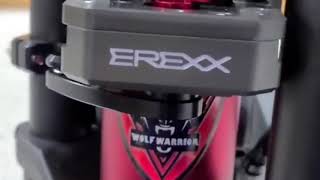 Erexx Steering Damper Full Overview in Detail [upl. by Lienhard130]