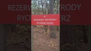 Rezerwat Przyrody Rycerski Kierz [upl. by Anikes]