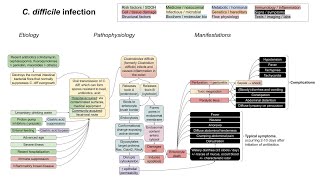 C diff infection mechanism of disease [upl. by Jutta]