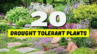 🌞 20 BEST Drought Tolerant Plants for YOUR Garden 😱 NO WATER NO PROBLEM 🌵 [upl. by Warfold859]