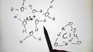 Chemistry of Biology 5  Hydration Shells 6 26 2018 [upl. by Lemrahs]