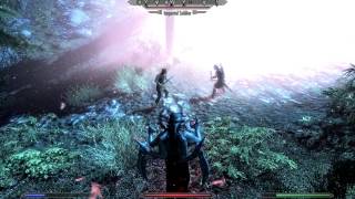 Dark Maneuvers Skyrim Mod  Coldharbours Mist [upl. by Swayder]