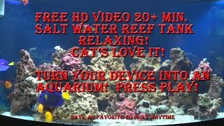 Salt Water Fish Tank Aquarium Reef Marine Free Screen Saver for Phone PC or Mac Fishtank [upl. by Wanyen]