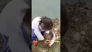 monkey fish catching 🐒shorts monkey wildlifediscovery animals youtubeshort [upl. by Etiuqal]