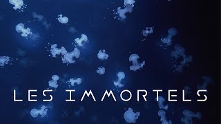 Les Immortels  Bande annonce SalamandreTV [upl. by Erica]