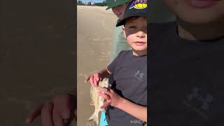 Bream session of Tuncurry Beach with live worms 🪝 🪱 🐟 shorts fishing beach beachfishing [upl. by Ybbor741]